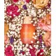 COCOSOLIS ROSE Purify & Nourish Oil Cleanser 50ML ΚΑΘΑΡΙΣΜΟΣ